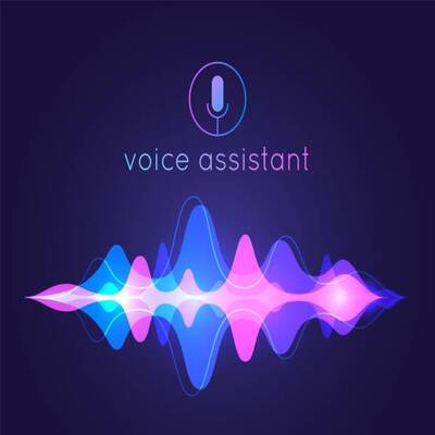 Voice Assistance Project